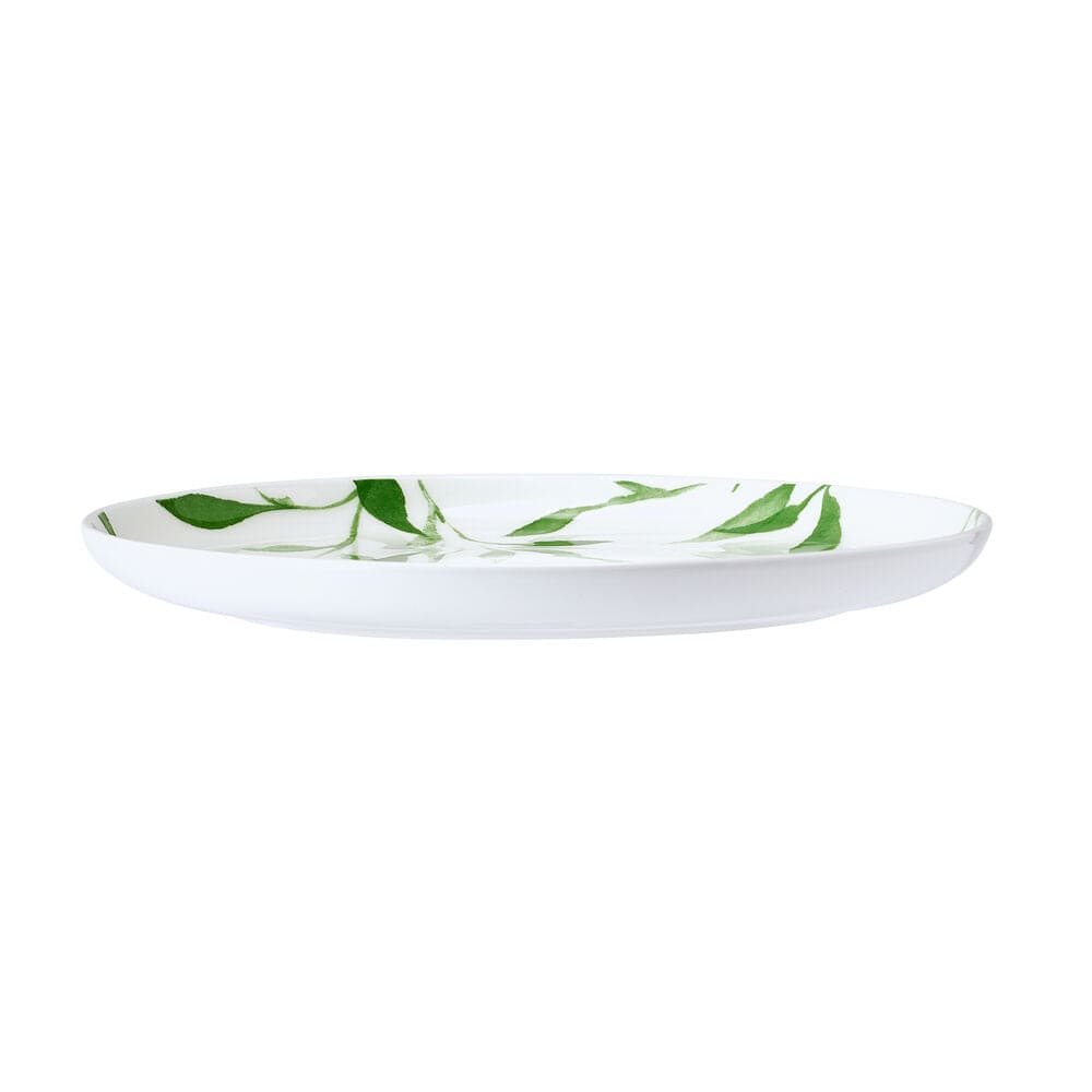 Akira Vegan Bone™ Set of 4 Salad Plates - Image 5