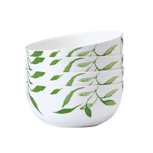 Akira Vegan Bone™ Set of 4 Soup Cereal Bowls
