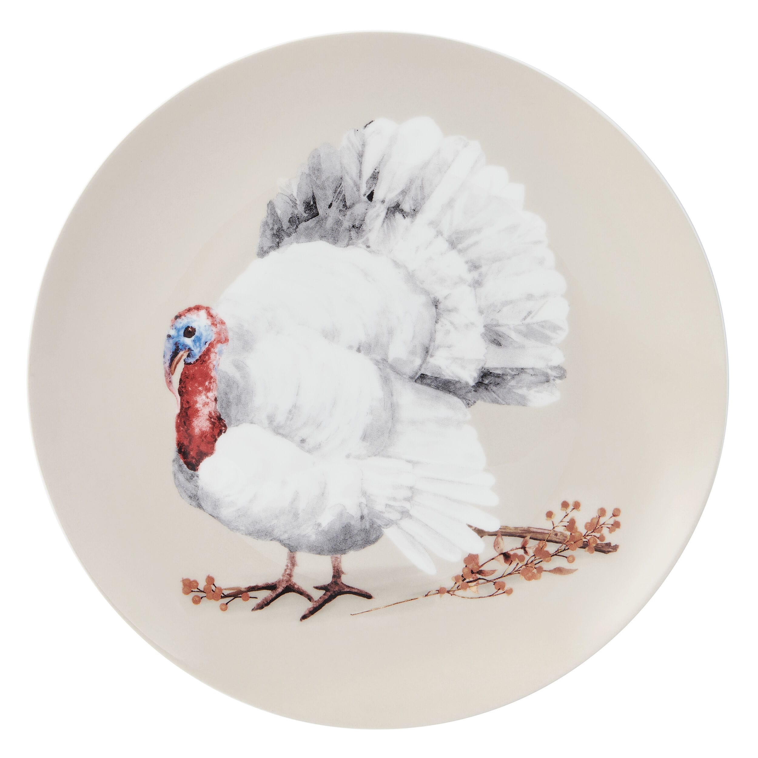 Fall Feathers Set of 4 Salad Plates - Image 8