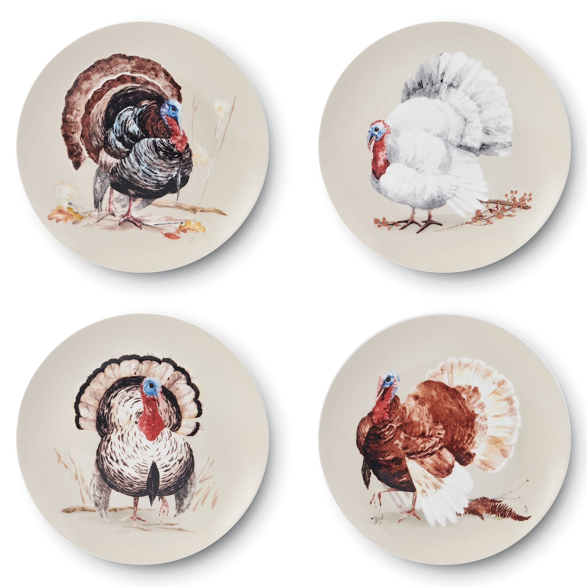 Fall Feathers Set of 4 Salad Plates - Image 9